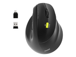Connect professional ergo shape