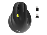 Connect professional ergo shape